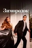 Зимородок (2022 , 1-3 сезон) бесплатно