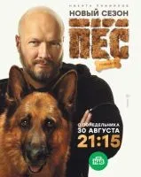 Пёс (2015 , 1-6 сезон) бесплатно